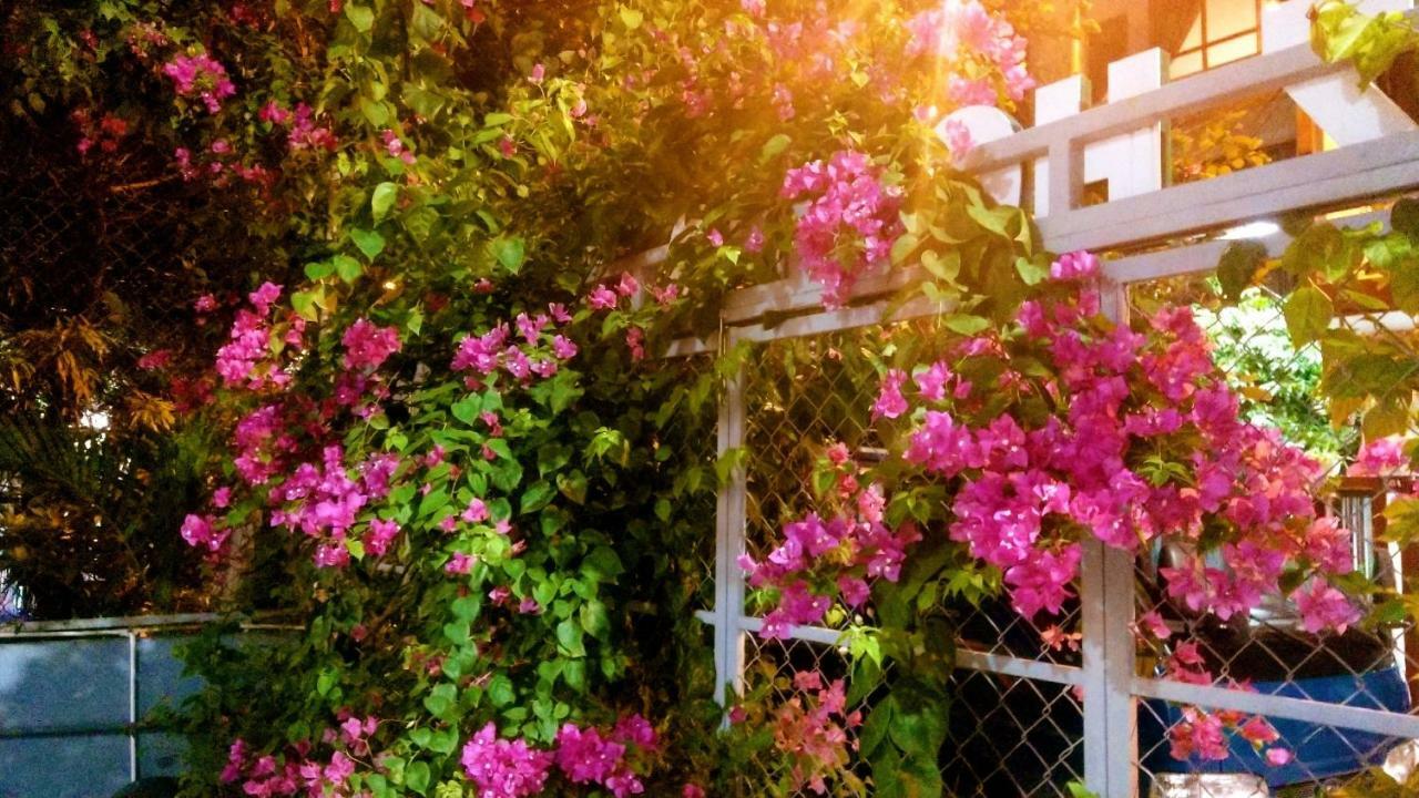 Lapaz Homestay ดานัง ภายนอก รูปภาพ